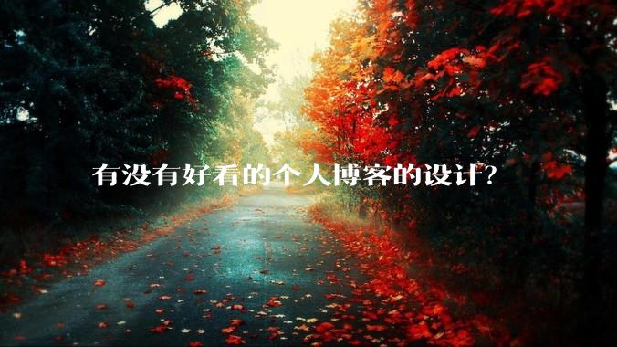 有没有好看的个人博客的设计？