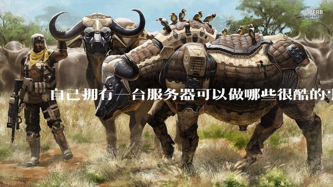 自己拥有一台服务器可以做哪些很酷的事情？